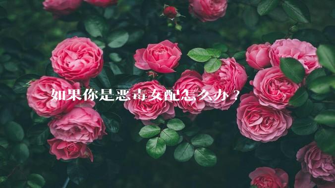 如果你是恶毒女配怎么办?
