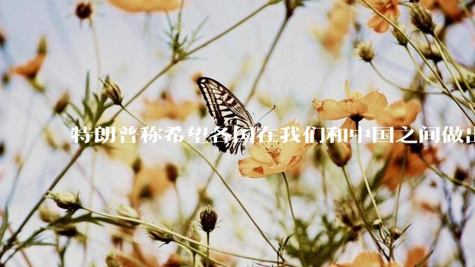 特朗普称希望各国在我们和中国之间做出选择！这说明了什么？有什么影响？