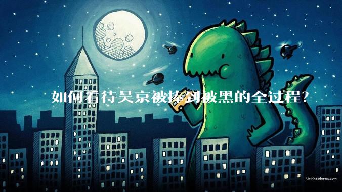 如何看待吴京被捧到被黑的全过程？
