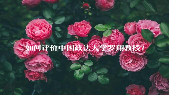 如何评价中国政法大学罗翔教授？