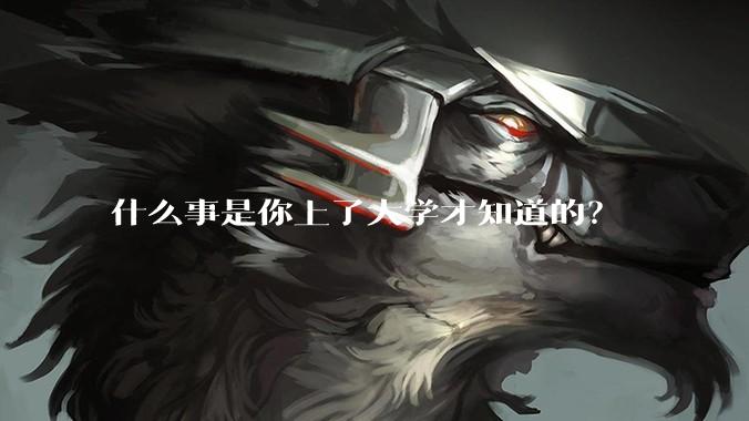 什么事是你上了大学才知道的？