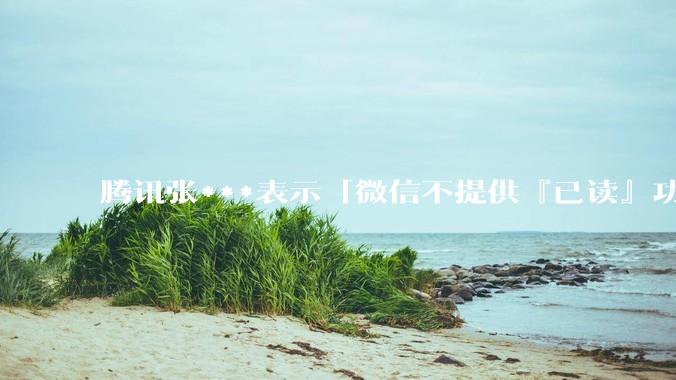 腾讯张***表示「微信不提供『已读』功能，以后也不会」，你怎样看待已读功能？你觉得微信需要有已读功能吗？