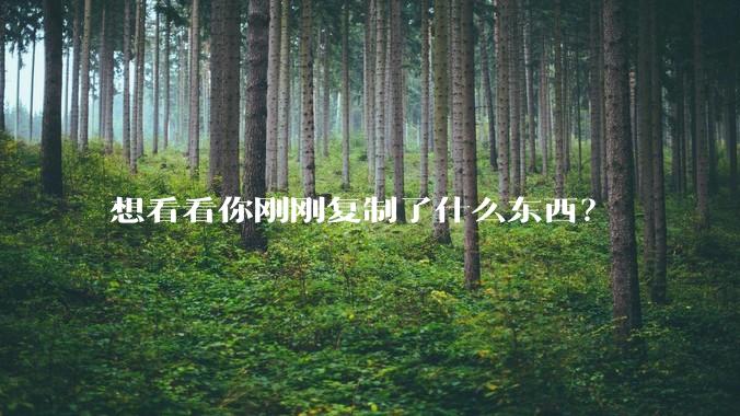 想看看你刚刚复制了什么东西？